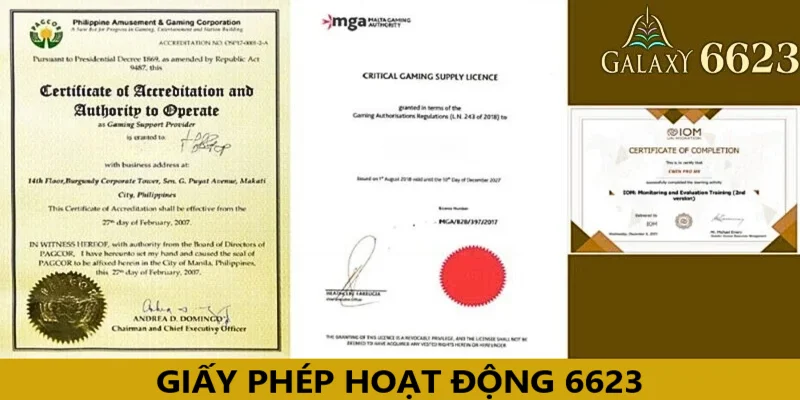 Giấy phép hoạt động 6623